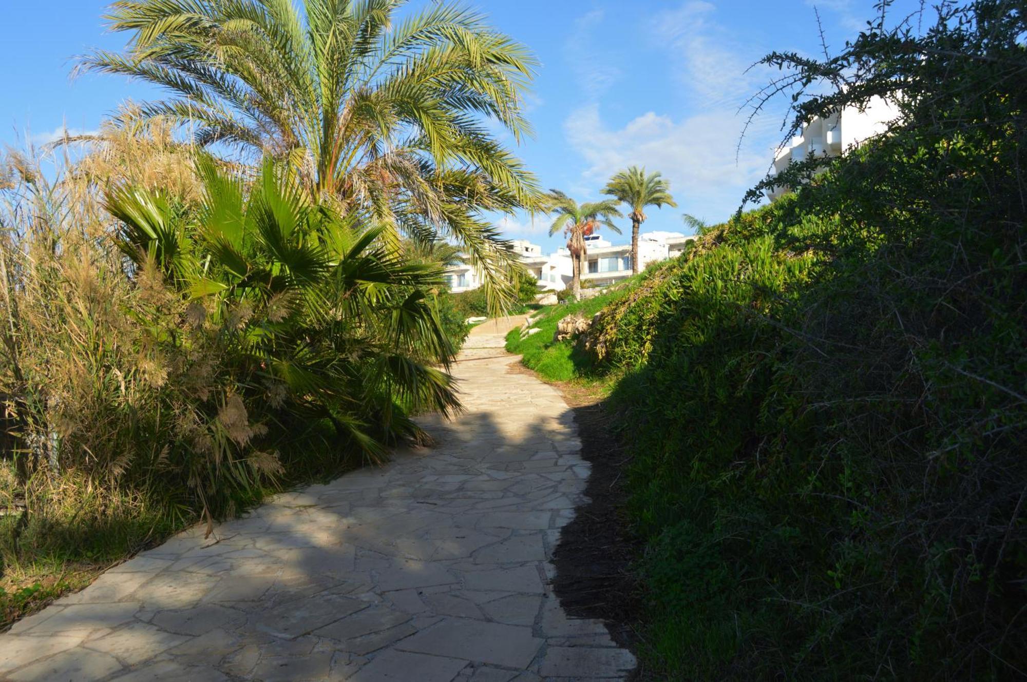 Olymp Luxury Villa D - Luxury Escape With Direct Beach Access And Unique Sunsets Paphos Exterior foto